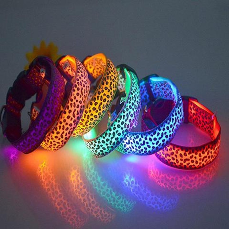 LED Dog Collar – Stylish, Safe & Visible Night Walks