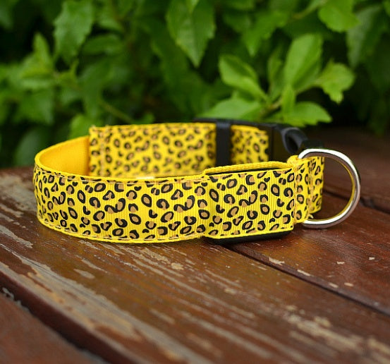 LED Dog Collar – Stylish, Safe & Visible Night Walks