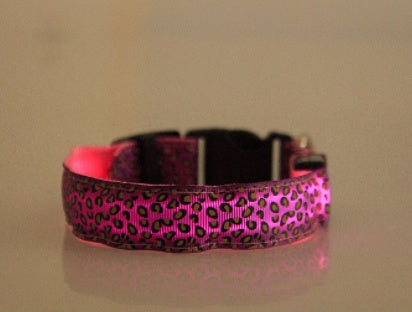 LED Dog Collar – Stylish, Safe & Visible Night Walks