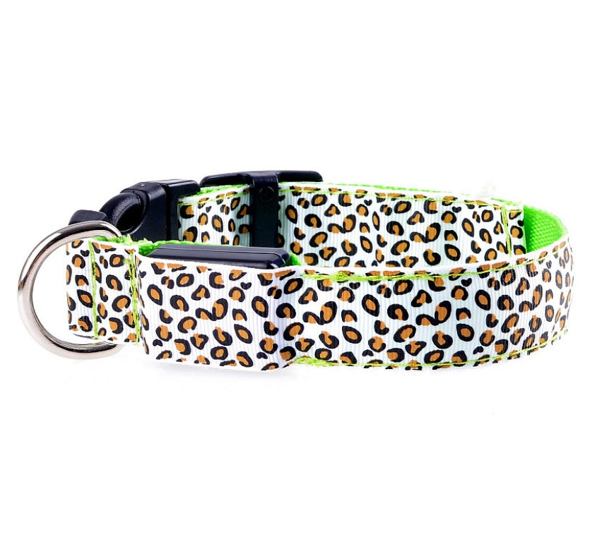 LED Dog Collar – Stylish, Safe & Visible Night Walks