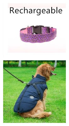 LED Dog Collar – Stylish, Safe & Visible Night Walks