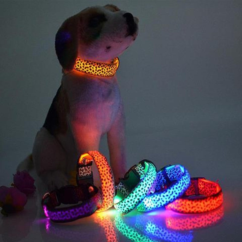 LED Dog Collar – Stylish, Safe & Visible Night Walks