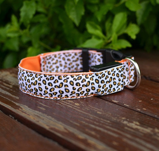 LED Dog Collar – Stylish, Safe & Visible Night Walks