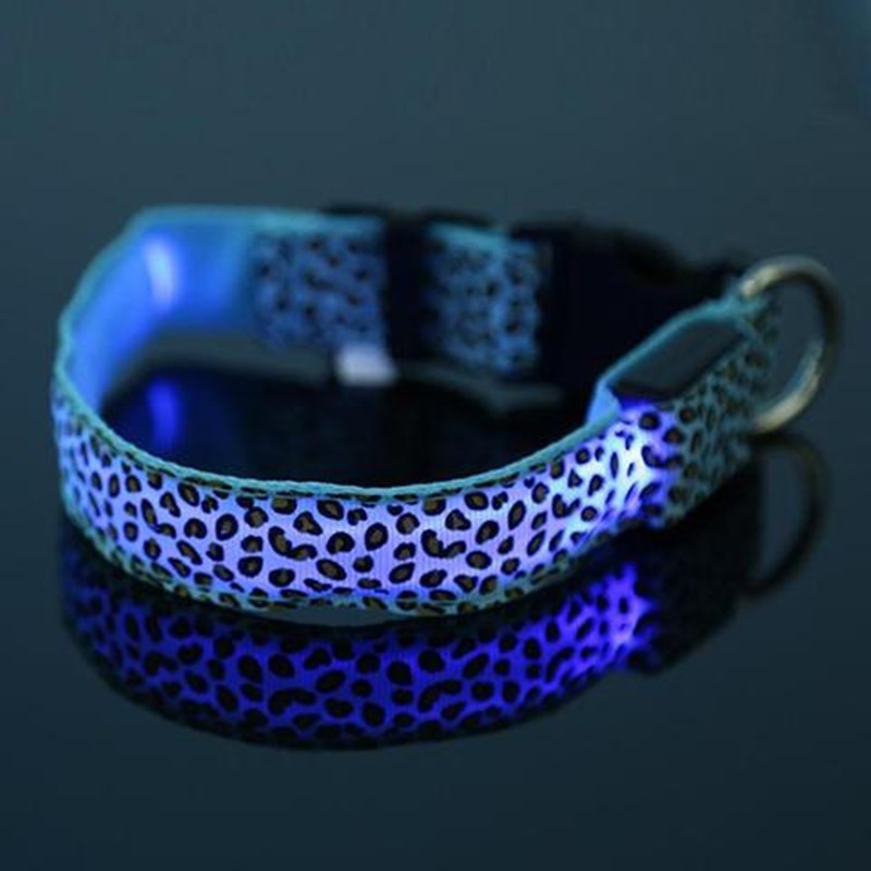 LED Dog Collar – Stylish, Safe & Visible Night Walks
