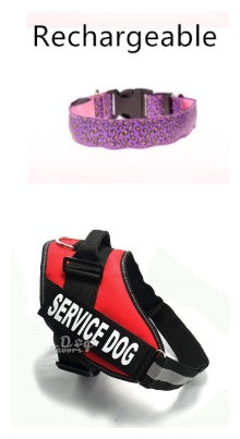 LED Dog Collar – Stylish, Safe & Visible Night Walks