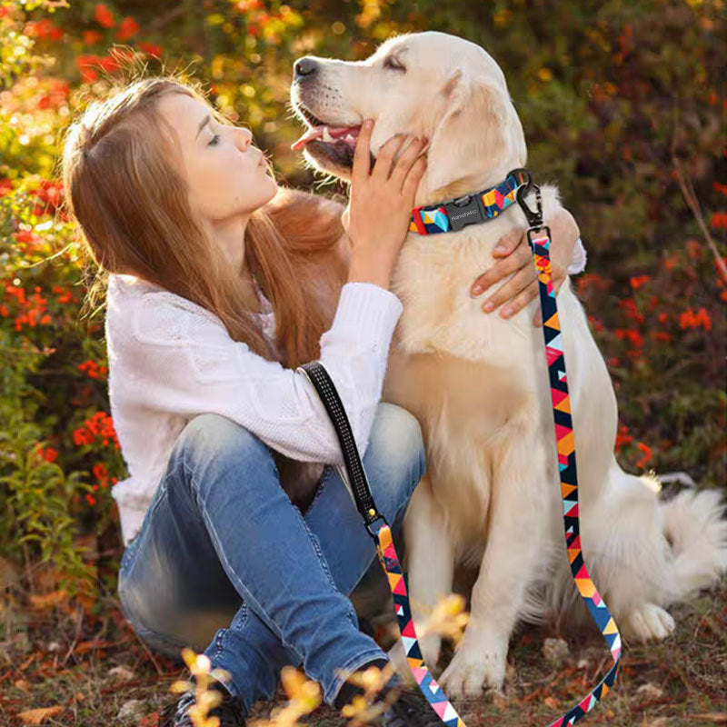Anti-Lost Dog Leash – Safe, Comfortable Walks Every Time